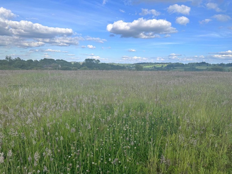 Timsbury, Bath, Somerset